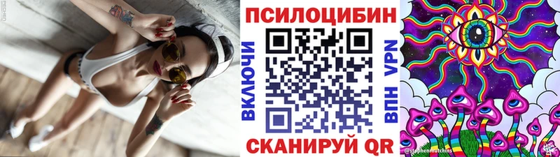 Галлюциногенные грибы MAGIC MUSHROOMS  закладки  Чаплыгин 