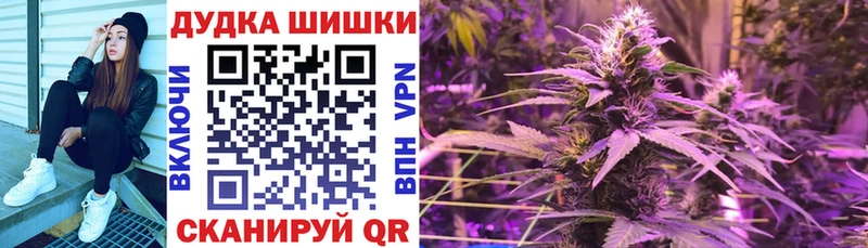 сколько стоит  Чаплыгин  мега   Бошки Шишки ГИДРОПОН 
